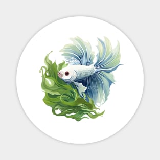 Betta Fish Magnet